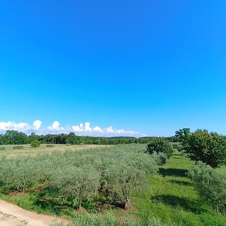 Apartman Ika Umag Exterior foto