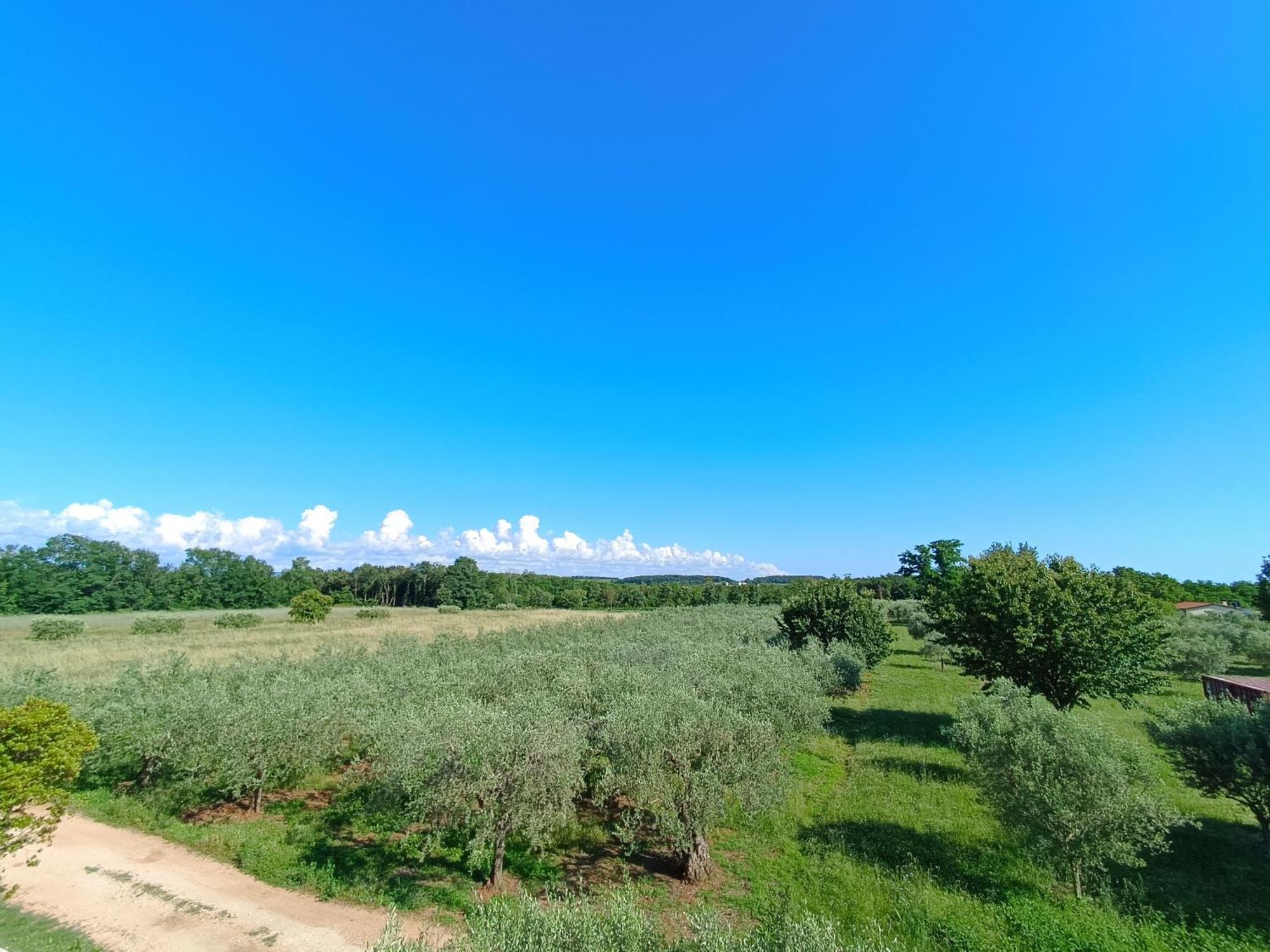 Apartman Ika Umag Exterior foto